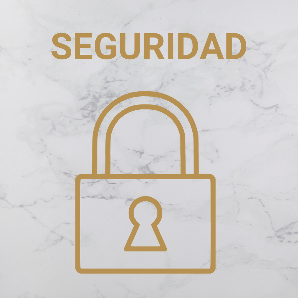 SEGURIDAD